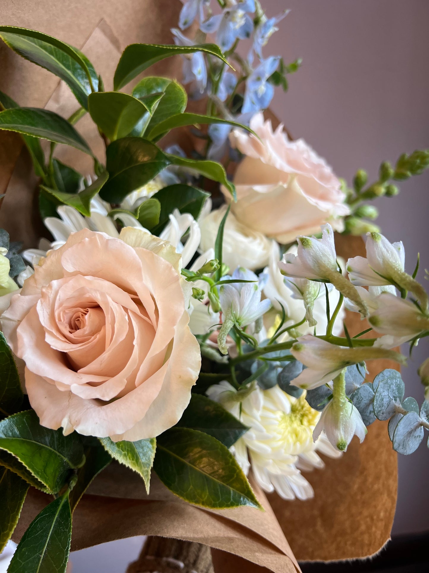 The Classic / Market Wrap